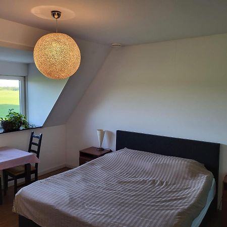 Bed & Breakfast De Vink Terschuur エクステリア 写真